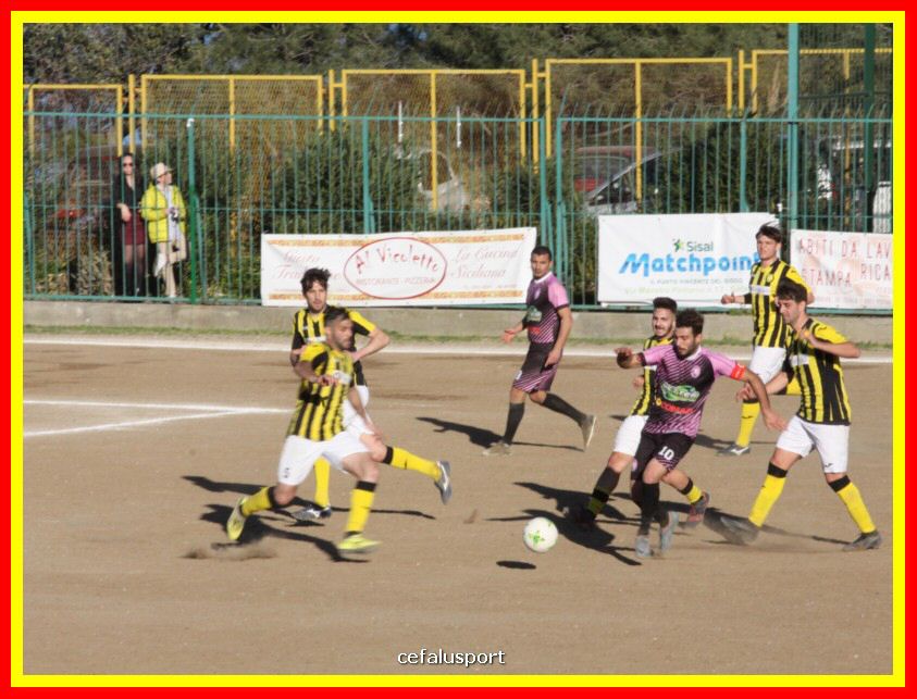 190310 Cephal_Torrenov 168_tn.jpg